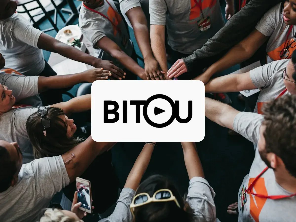 bitou-case-study