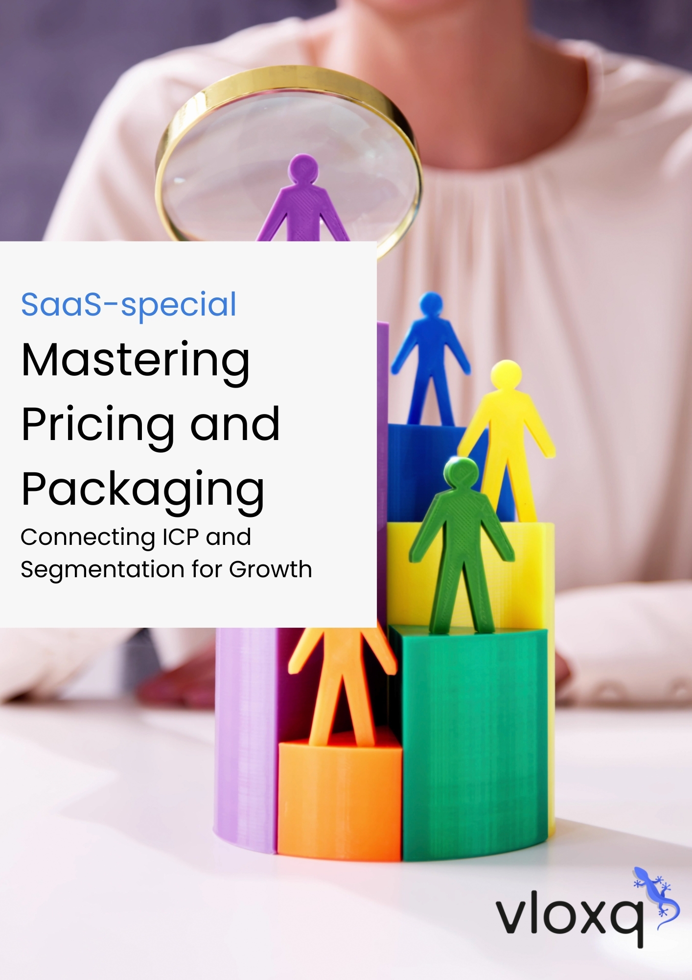 Nyckelinsikter från SaaS-special webinar